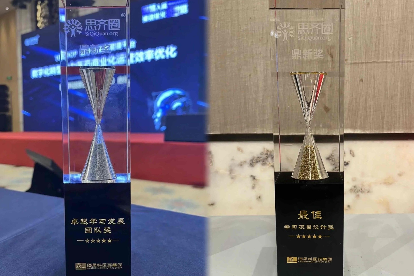 海思科醫(yī)藥集團(tuán)榮獲“鼎新獎-卓越學(xué)習(xí)發(fā)展團(tuán)隊獎”等三項榮譽(yù)